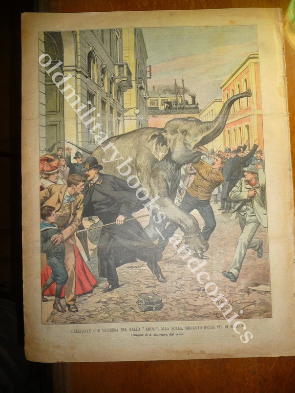 CONTADINI ALTA ITALIA EMIGRANTI NEL PORTO GENOVA ELEFANTE IMBIZZARITO A …