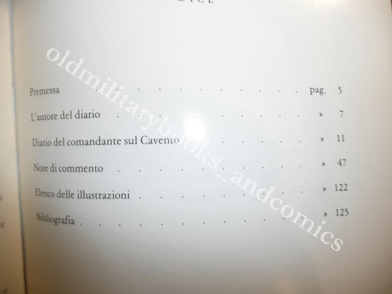DIARIO DI GUERRA DAL CORNO DI CAVENTO DEL TENENTE HECHT …