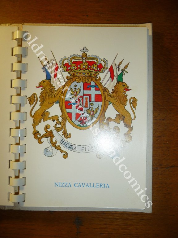 EMBLEMI ARALDICI DEI REGGIMENTI DELL'ARMA DI CAVALLERIA I 30 REGGIMENTI …