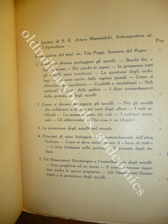 GLI UCCELLI AMICI DELL'AGRICOLTORE AA.VV. 1930 OTTIMO