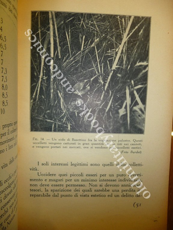 GLI UCCELLI AMICI DELL'AGRICOLTORE AA.VV. 1930 OTTIMO