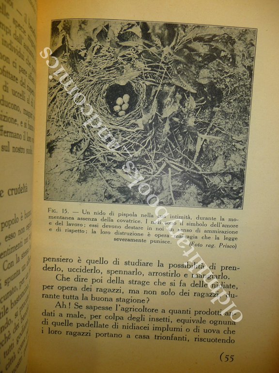 GLI UCCELLI AMICI DELL'AGRICOLTORE AA.VV. 1930 OTTIMO