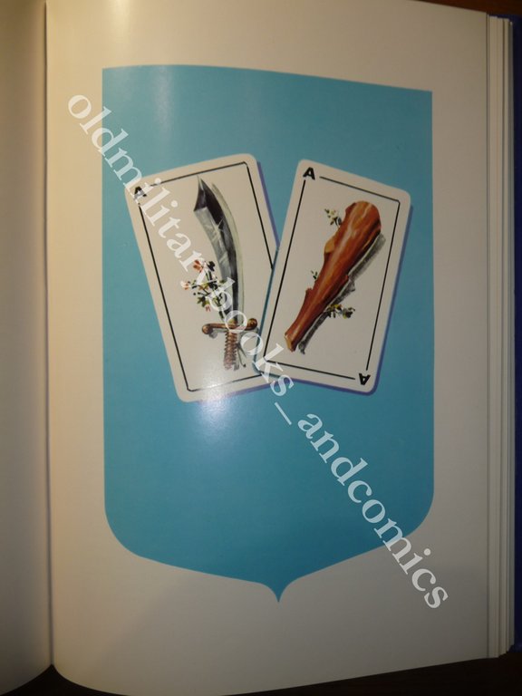 I REPARTI DELL'AERONAUTICA MILITARE ITALIANA I REPARTI DECORATI AA.VV. | Immagine Gallery 3