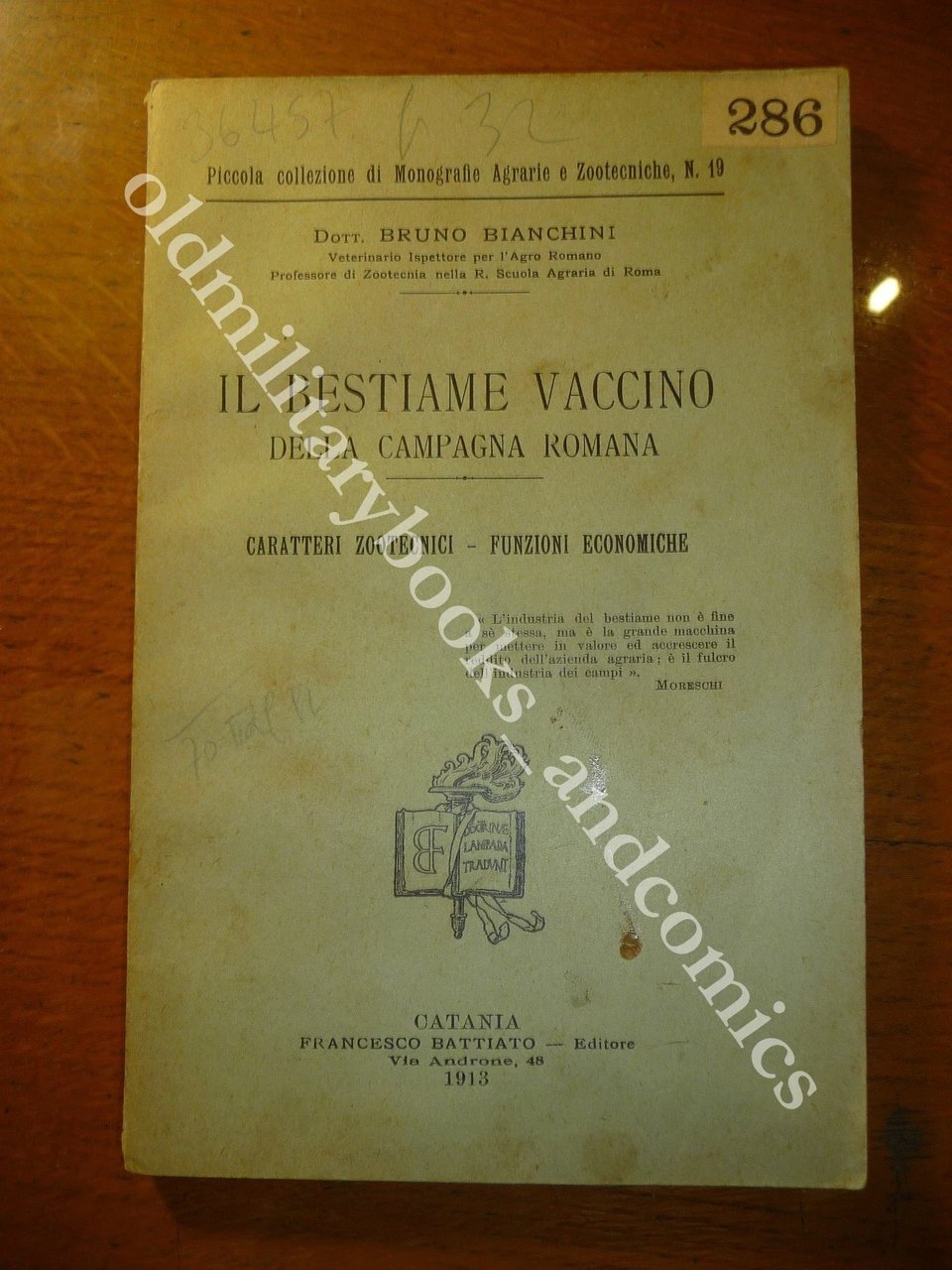 IL BESTIAME VACCINO DELLA CAMPAGNA ROMANA BRUNO BIANCHINI