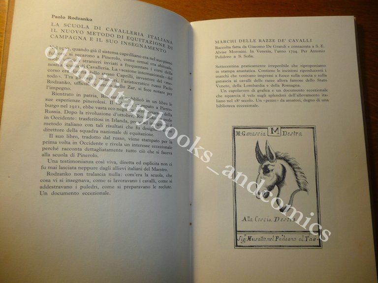 IL CAVALLO NOTIZIARIO N. 4 1° SEMESTRE 1977