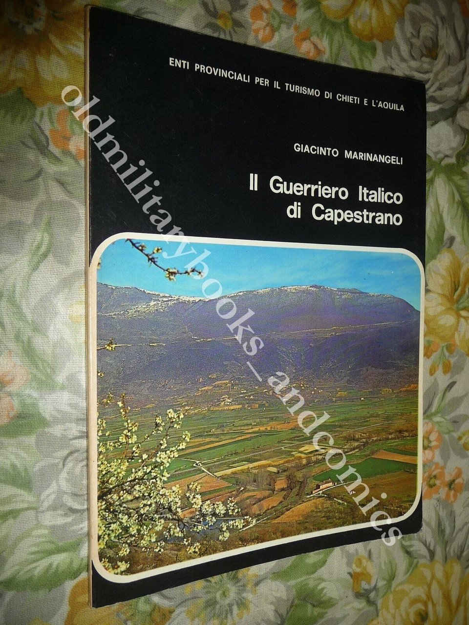 IL GUERRIERO ITALICO DI CAPESTRANO GIACINTO MARINANGELI