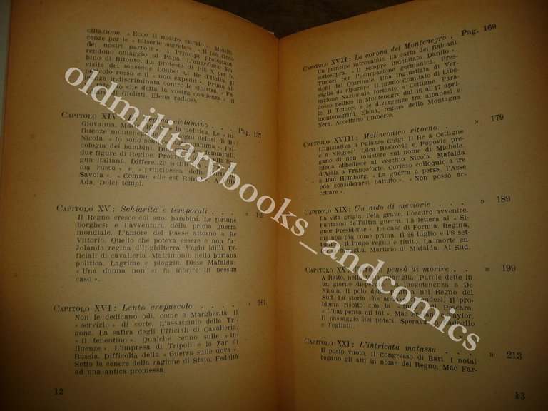 IL TEMPO DELLA REGINA GIOVANNI ARTIERI BUONO