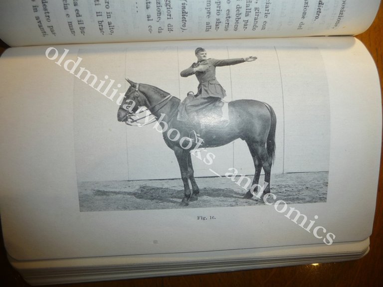 ISTRUZIONE A CAVALLO E ADDESTRAMENTO IPPICO PER L'ARMA DI CAVALLERIA …