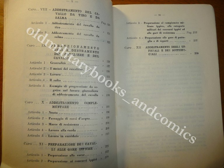 ISTRUZIONE A CAVALLO E ADDESTRAMENTO IPPICO PER L'ARMA DI CAVALLERIA …