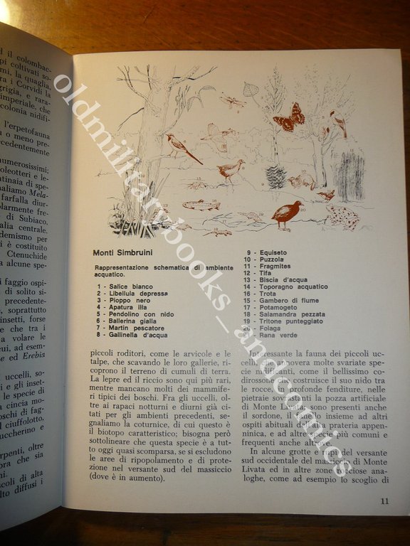 ITINERARI STORICO-NATURALISTICI REGIONE SUBLACENSE
