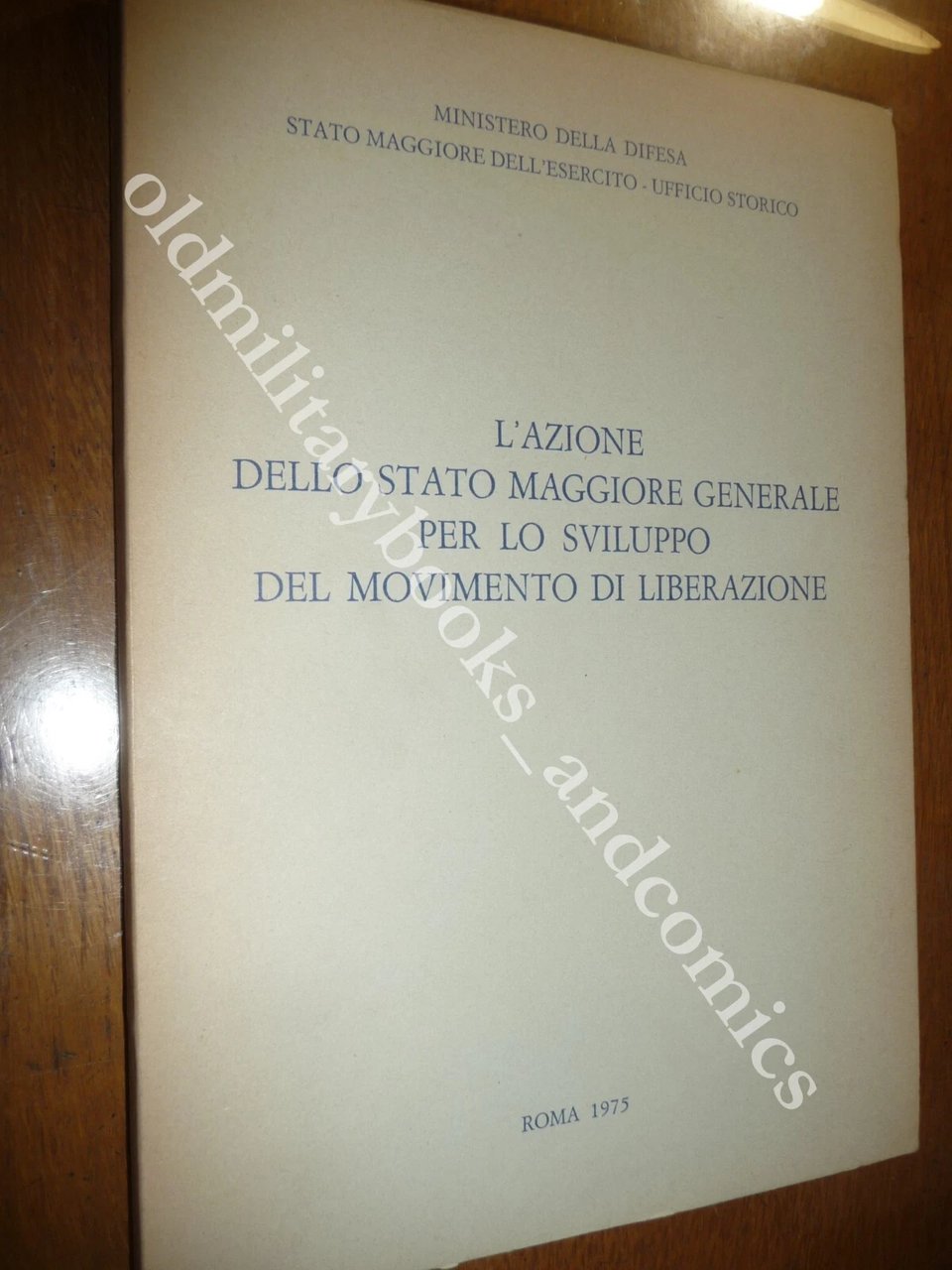 L'AZIONE DELLO STATO MAGGIORE GENERALE PER LO SVILUPPO MOVIMENTO DI …