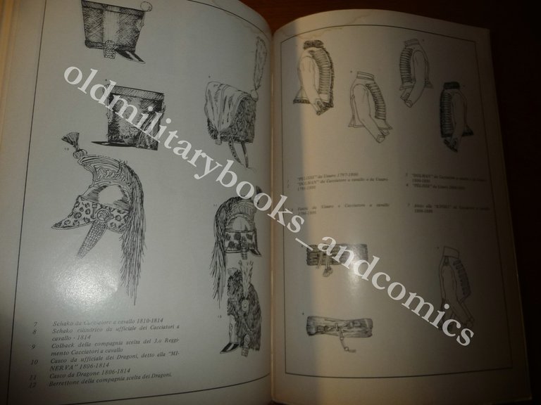 LA CAVALLERIA DI LINEA ITALICA 1796-1814 STORIA-UNIFORMI-BANDIERE | Immagine Gallery 6