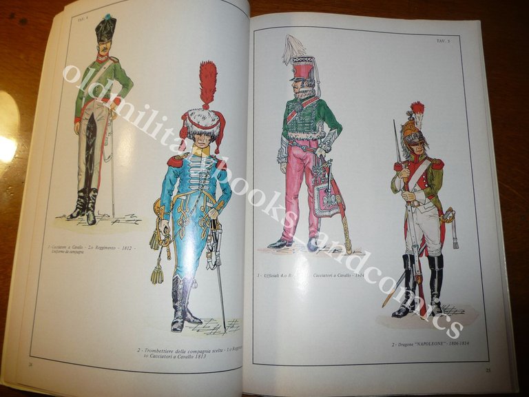 LA CAVALLERIA DI LINEA ITALICA 1796-1814 STORIA-UNIFORMI-BANDIERE | Immagine Gallery 5