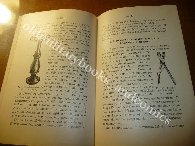 LA MARCATURA DEGLI ANIMALI AGRICOLI ALFREDO BARTOLUCCI