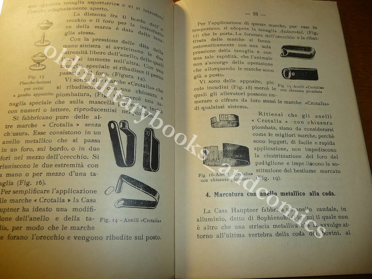 LA MARCATURA DEGLI ANIMALI AGRICOLI ALFREDO BARTOLUCCI
