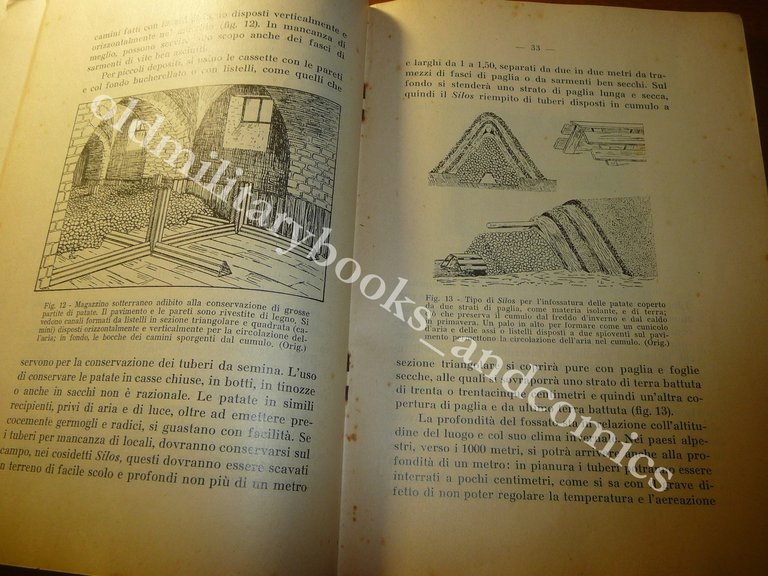 LA PATATA NORME PER LA COLTIVAZIONE CONSERVAZIONE E RIGENERAZIONE GIULIO …