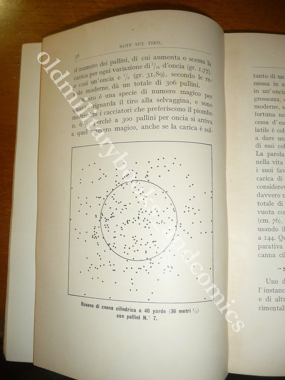 NOTE SUL TIRO DEI FUCILI DA CACCIA E MUNIZIONI WALFREDO … | Immagine Gallery 6