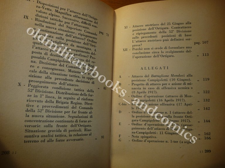 ORTIGARA (GIUGNO 1917) COMO DAGNA SABINA