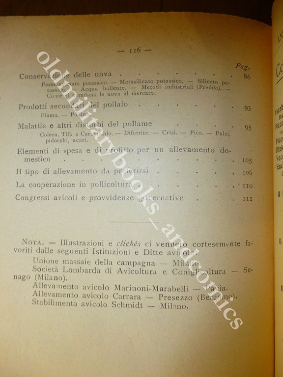 POLLI E POLLAI PIERO VENINO POLLICOLTURA 1935