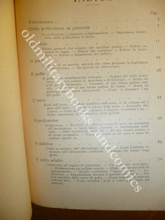 POLLI E POLLAI PIERO VENINO POLLICOLTURA 1935
