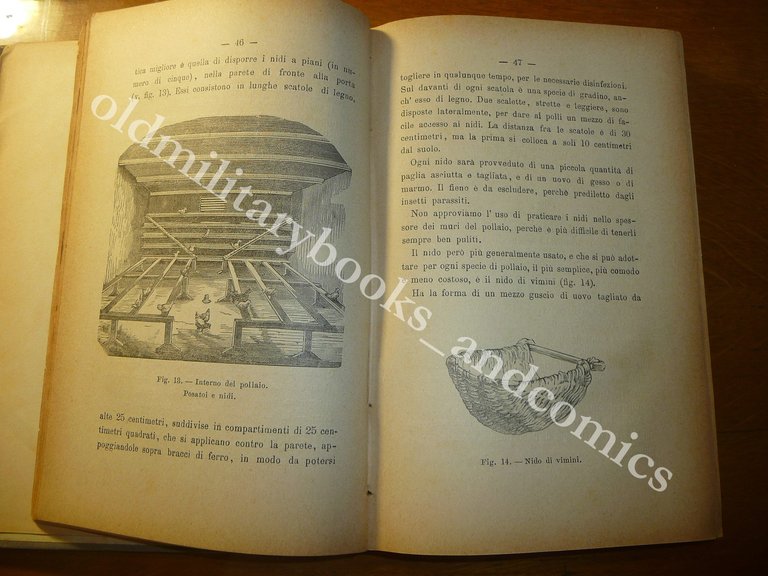 POLLI E UOVA MANUALE PRATICO DI POLLICOLTURA PIETRO CASSELLA 1896
