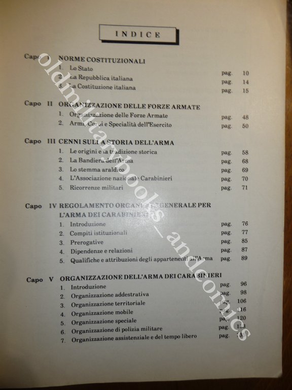 SCUOLA ALLIEVI CC IL MODELLO ISTITUZIONALE | Immagine Gallery 4