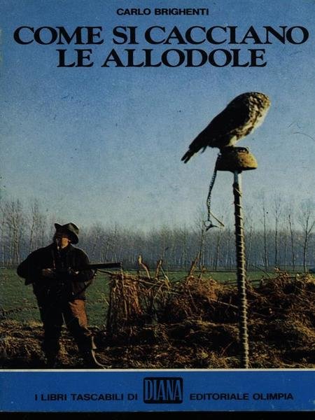 COME SI CACCIANO LE ALLODOLE - (G4)