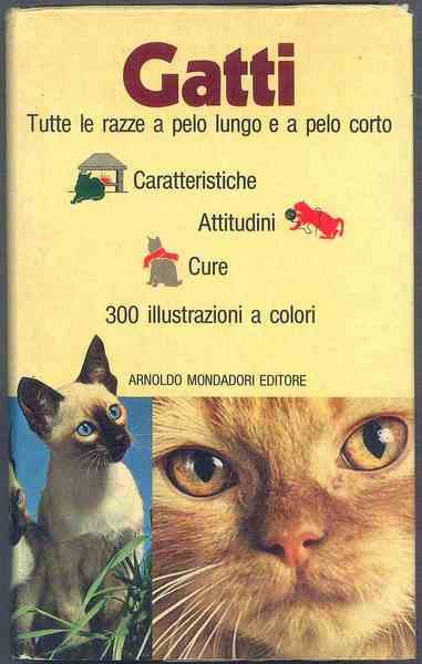 Gatti | Immagine principale