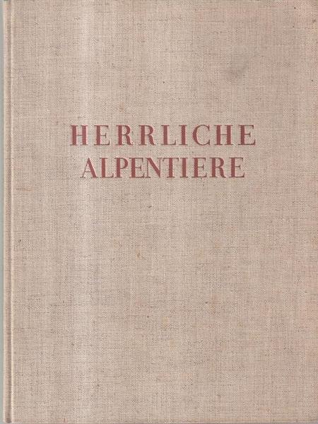 Herrliche Alpentiere