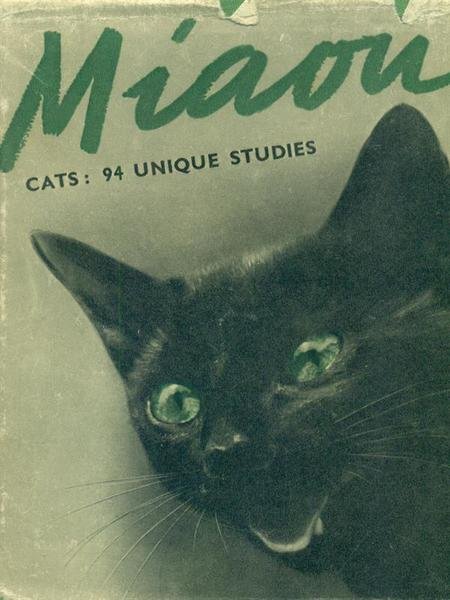 Miaou. The cat in pictures