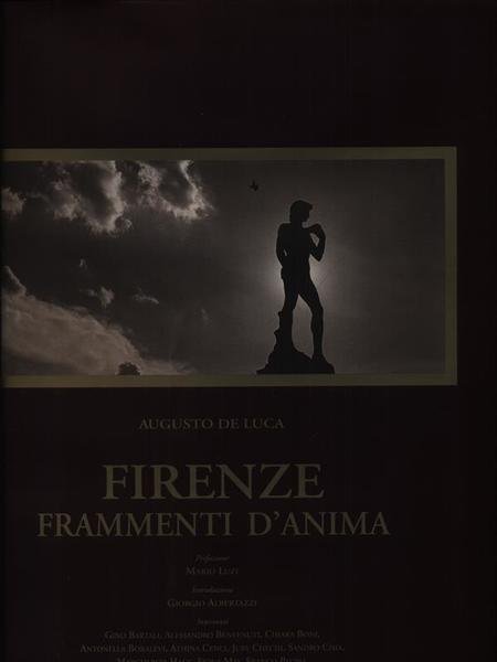 Firenze. Frammenti d'anima