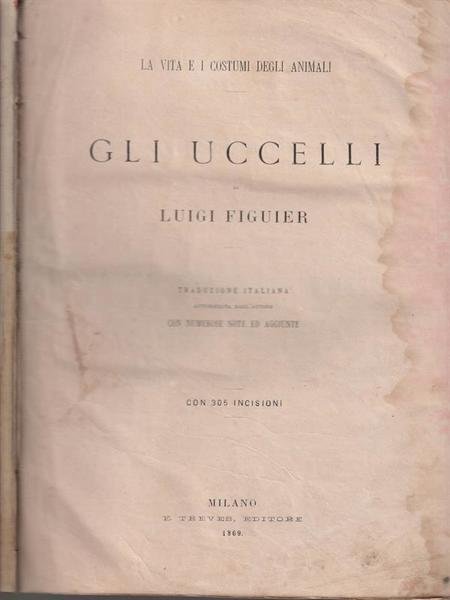 Gli uccelli