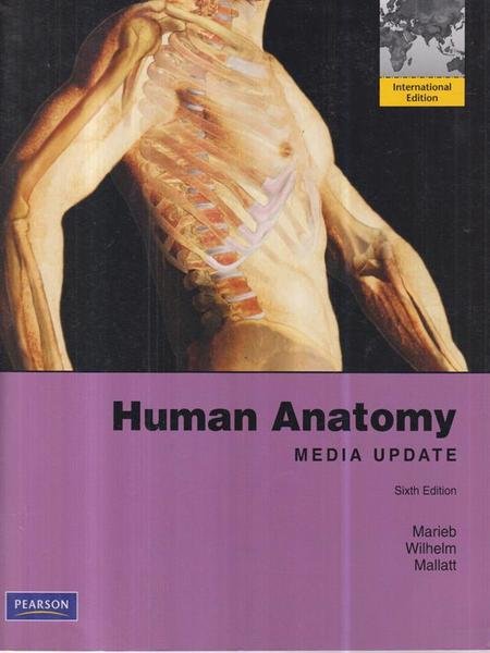 Human Anatomy
