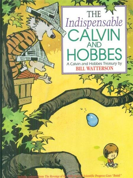 The indispensable Calvin and Hobbes