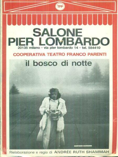 Il bosco di notte