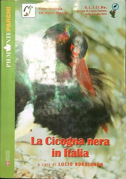 La cicogna nera in Italia