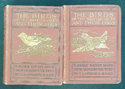 The birds on the british isles and their eggs 2 …