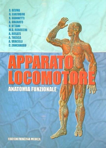 Apparato locomotore. Anatomia funzionale