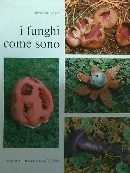 I funghi come sono | Immagine principale