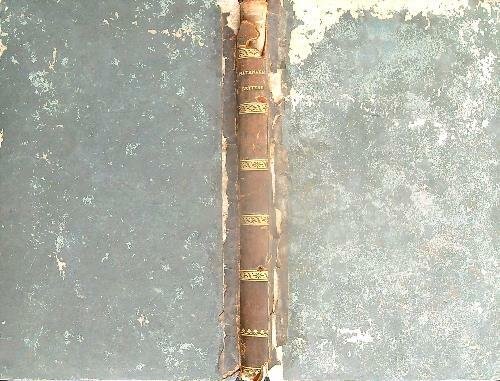 Lettere scritte a suo nipote