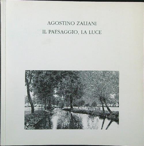 Agostino Zaliani. Il paesaggio, la luce (autografato) | Immagine principale