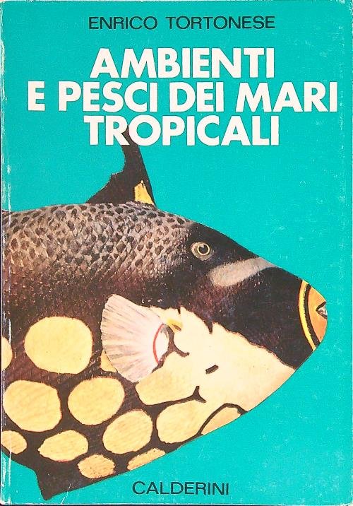 Ambienti e pesci dei mari tropicali