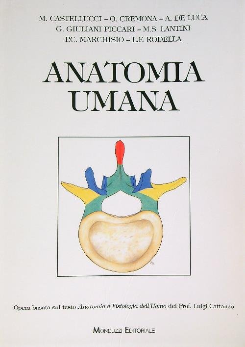 Anatomia umana