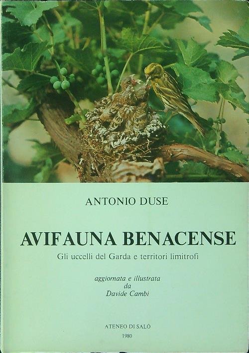 Avifauna Benacense