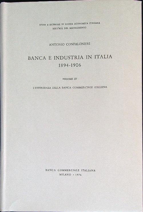 Banca e industria in Italia 1894-1906. Vol 3