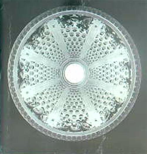 Bernini. Una Introduzione al Grande Teatro Barocco