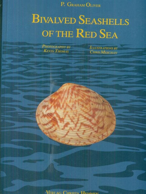 Bivalved seashells of the red sea