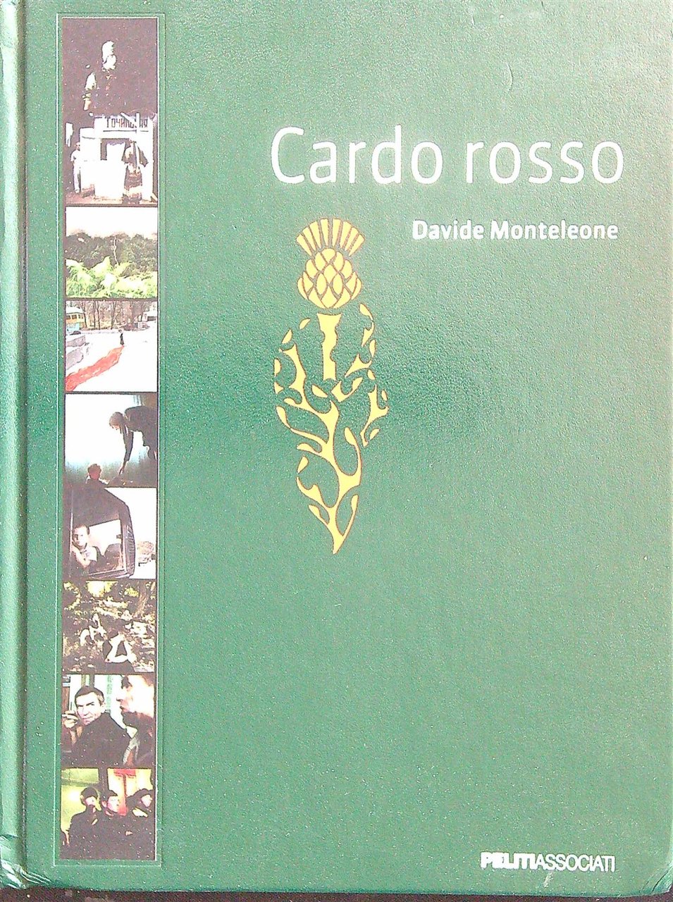 Cardo rosso | Immagine principale