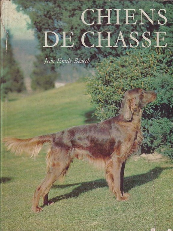 CHIENS DE CHASSE