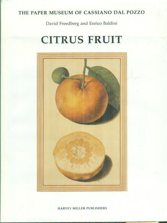 Citrus fruit